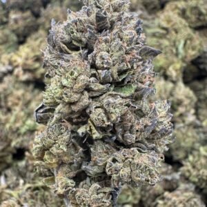 Blue Zushi – Bulk THCA Flower (Sungrown Pounds)