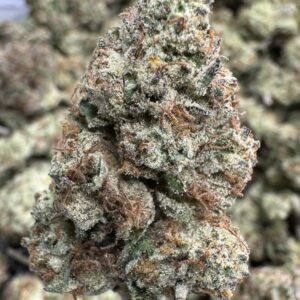 Blueberry Caviar – Bulk THCA Flower (Sungrown Pounds)
