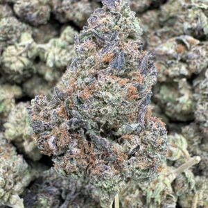 Blueberry Eclair – Bulk THCA Flower (Indoor Pounds)