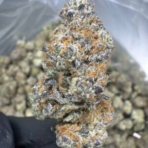 Blueberry Muffin – Bulk THCA Flower (Indoor Pounds)