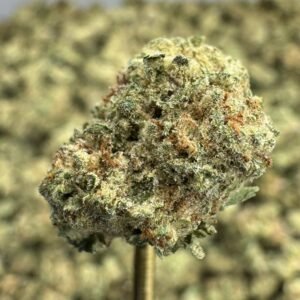 Blueberry Muffins – Bulk THCA Flower (Indoor Pounds)