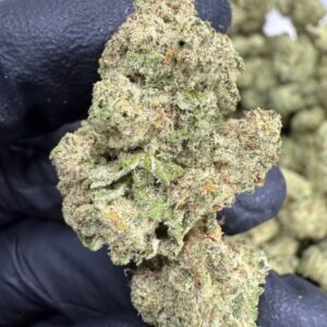 Blueberry Muffin – Bulk THCA Flower