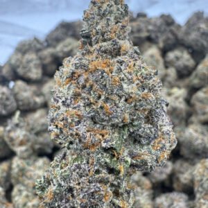 Bolo Runtz – Bulk THCA Flower (Indoor Pounds)