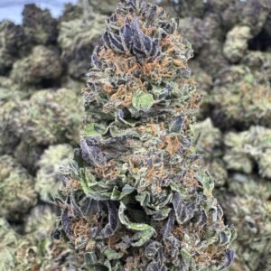 Cadillac Rainbow – Bulk THCA Flower (Sungrown Pounds)