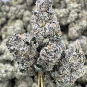 Cadillac Rainbow – Bulk THCA Flower (Indoor Pounds)