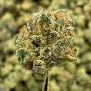 Cadillac Rainbow – Bulk THCA Flower (Greenhouse Pounds)