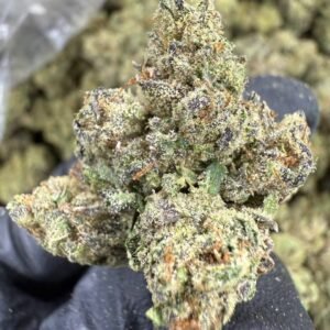 Candy Gas – Bulk THCA Flower