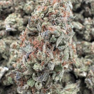 Cannalope Haze – Bulk THCA Flower (Sungrown Pounds)