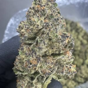 Cereal Milk – Bulk THCA Flower (Indoor Pounds)
