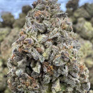 Cereal Milk – Bulk THCA Flower (Sungrown Pounds)