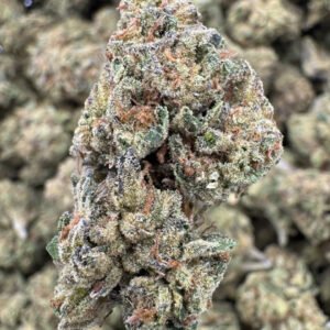 Chemdawg – Bulk THCA Flower (Sungrown Pounds)