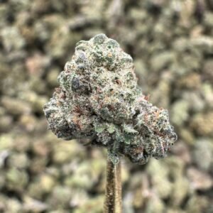 Cherry Pie – Bulk THCA Flower (Greenhouse Pounds)