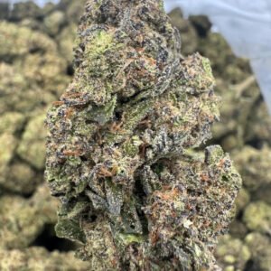 Chocolope – Bulk THCA Flower (Sungrown Pounds)