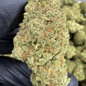 Cinderella 99 – Bulk THCA Flower (Greenhouse Pounds)