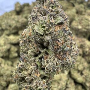 Cocolato – Bulk THCA Flower (Indoor Pounds)