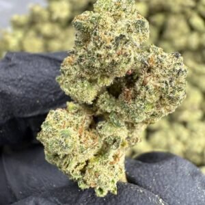 Cookies and Cream – Bulk THCA Flower (Indoor Pounds)