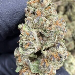 Cookies and Cream – Bulk THCA Flower (Sungrown Pounds)