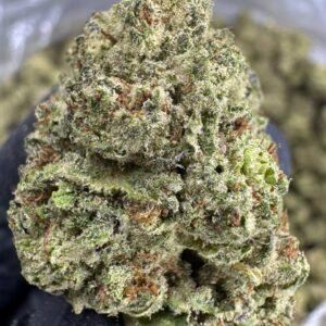 Cookies and Cream – Bulk THCA Flower (Indoor Pounds)