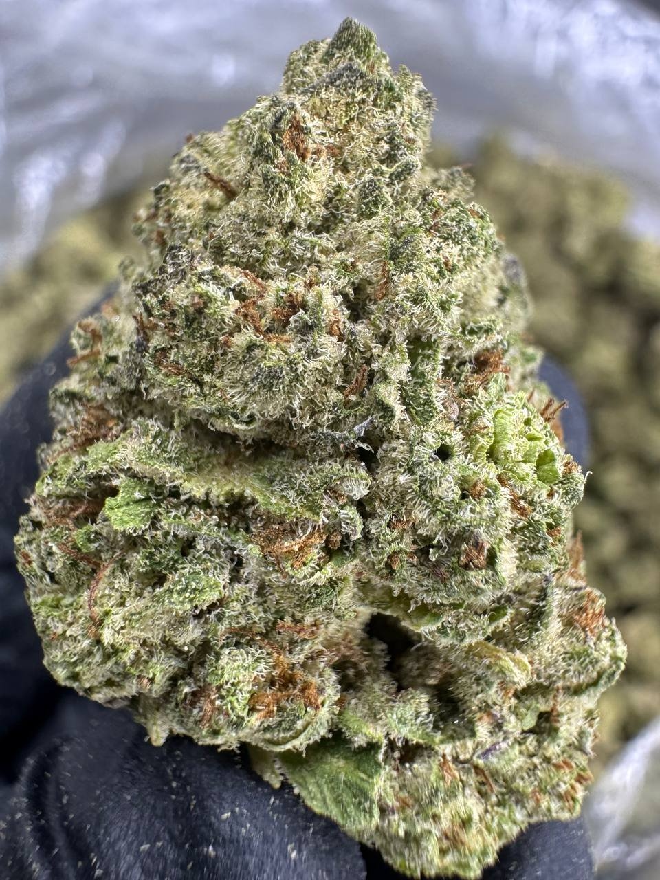 Cookies and Cream – Bulk THCA Flower (Indoor Pounds) 1 Cookies and Cream – Bulk THCA Flower (Indoor Pounds)