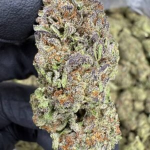 Cosmic Runtz – Bulk THCA Flower