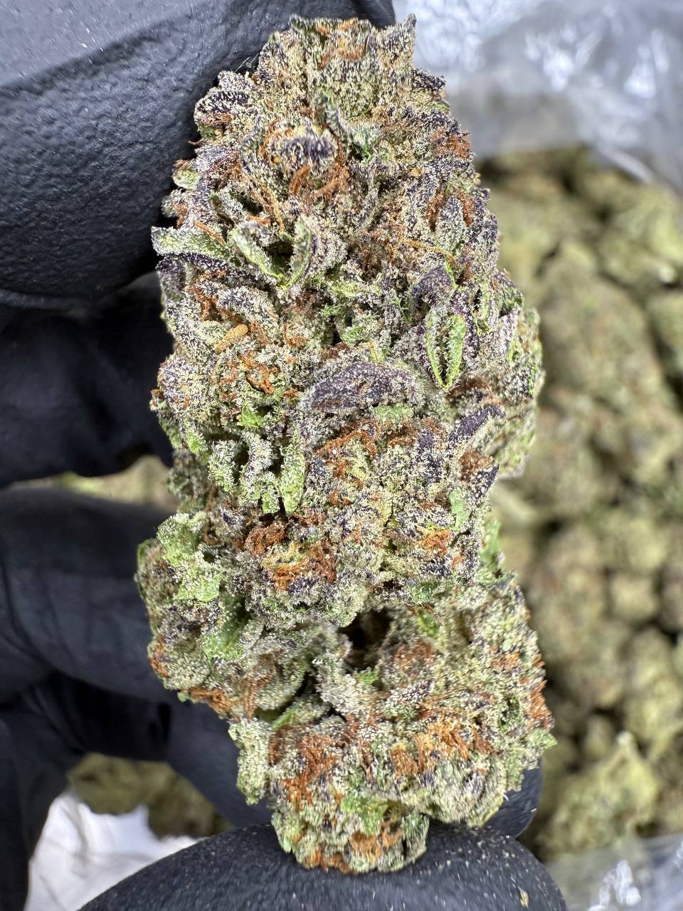 Cosmic Runtz – Bulk THCA Flower 1 Cosmic Runtz – Bulk THCA Flower