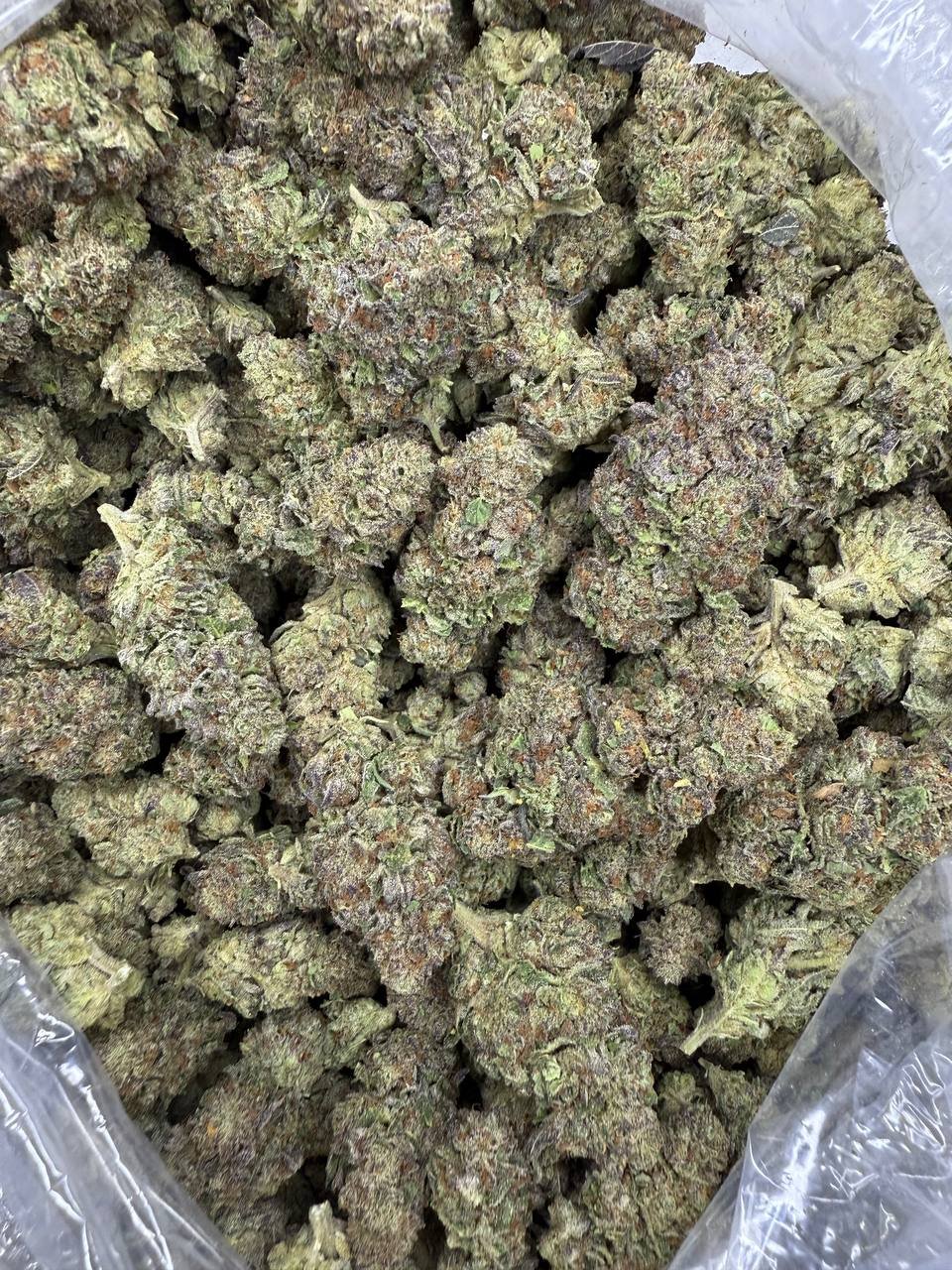 Cosmic Runtz – Bulk THCA Flower 2 Cosmic Runtz – Bulk THCA Flower - Image 2