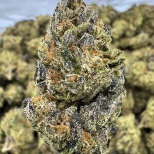 Dark Rainbow – Bulk THCA Flower (Indoor Pounds)