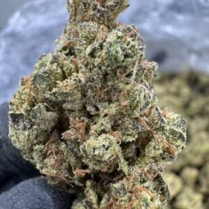 Donny Burger – Bulk THCA Flower (Greenhouse Pounds)