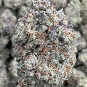 Donut Shop – Bulk THCA Flower (Greenhouse Pounds)