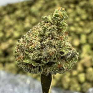 Donut Shop – Bulk THCA Flower (Greenhouse Pounds)