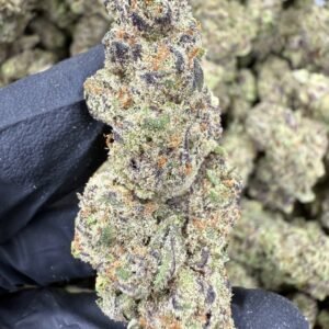 El Chivo – Bulk THCA Flower