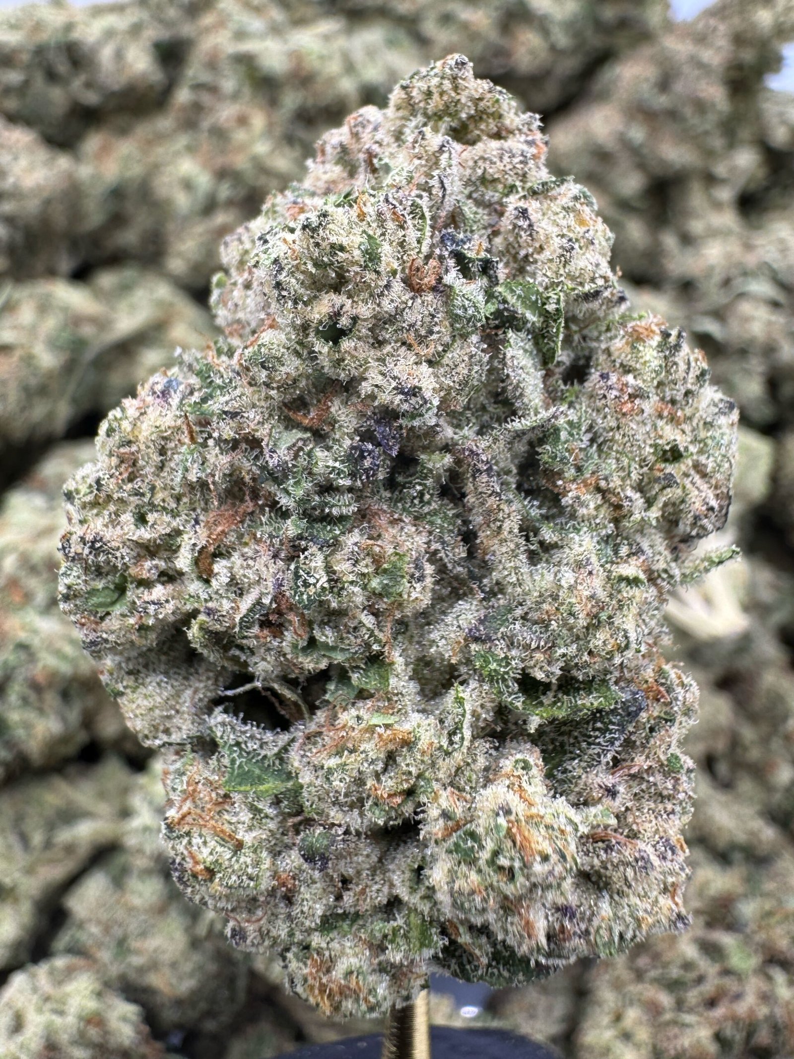 Frosted Cherries – Bulk THCA Flower (Indoor Pounds) 1 Frosted Cherries – Bulk THCA Flower (Indoor Pounds)