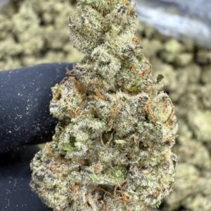 Funnel Cake – Bulk THCA Flower (Indoor Pounds)