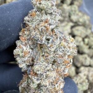 Funnel Cake – Bulk THCA Flower (Indoor Pounds)
