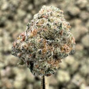 Funnel Cake – Bulk THCA Flower (Indoor Pounds)