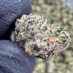Funnel Cake – Bulk THCA Flower (Indoor Pounds)