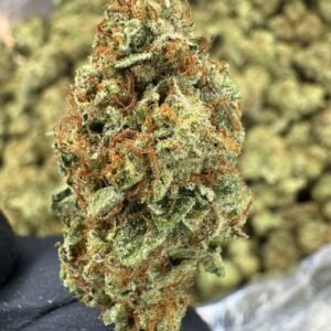 GMO – Bulk THCA Flower (Sungrown Pounds)