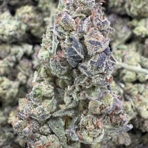 GMO – Bulk THCA Flower (Greenhouse Pounds)