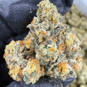 Gas Face – Bulk THCA Flower (Indoor Pounds)