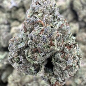 Gas Face – Bulk THCA Flower (Sungrown Pounds)