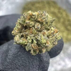 Gas Face – Bulk THCA Flower (Greenhouse Pounds)