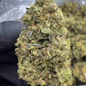 Gelato Cake – Bulk THCA Flower (Sungrown Pounds)