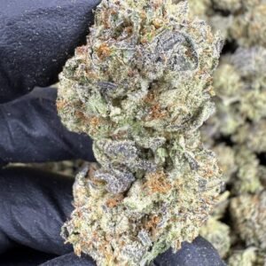 Gelato King – Bulk THCA Flower