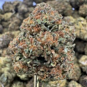 Gelato Mintz – Bulk THCA Flower (Sungrown Pounds)
