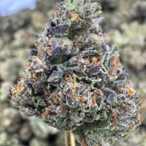 Gelatti Cake – Bulk THCA Flower (Greenhouse Pounds)