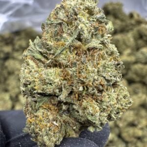 Gello Shotz – Bulk THCA Flower (Greenhouse Pounds)