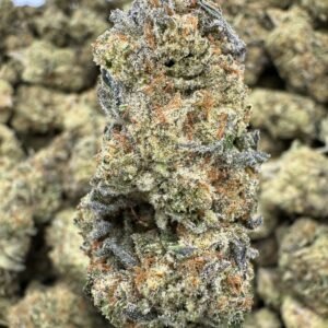 Gelonade – Bulk THCA Flower (Indoor Pounds)
