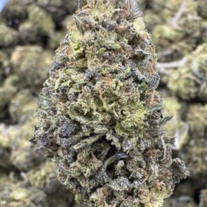 Georgia Pie – Bulk THCA Flower (Sungrown Pounds)
