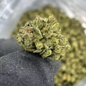 Georgia Pie – Bulk THCA Flower (Greenhouse Pounds)