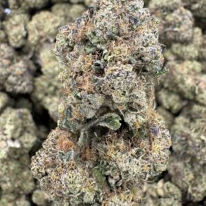 Glitter Bomb – Bulk THCA Flower (Indoor Pounds)